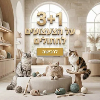 קמפיין סושיאל ממוקד קטגוריה