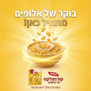 קרנצ'י של אלופים