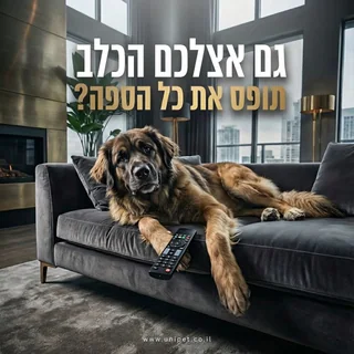 קמפיין ספה - הומור שמוכר